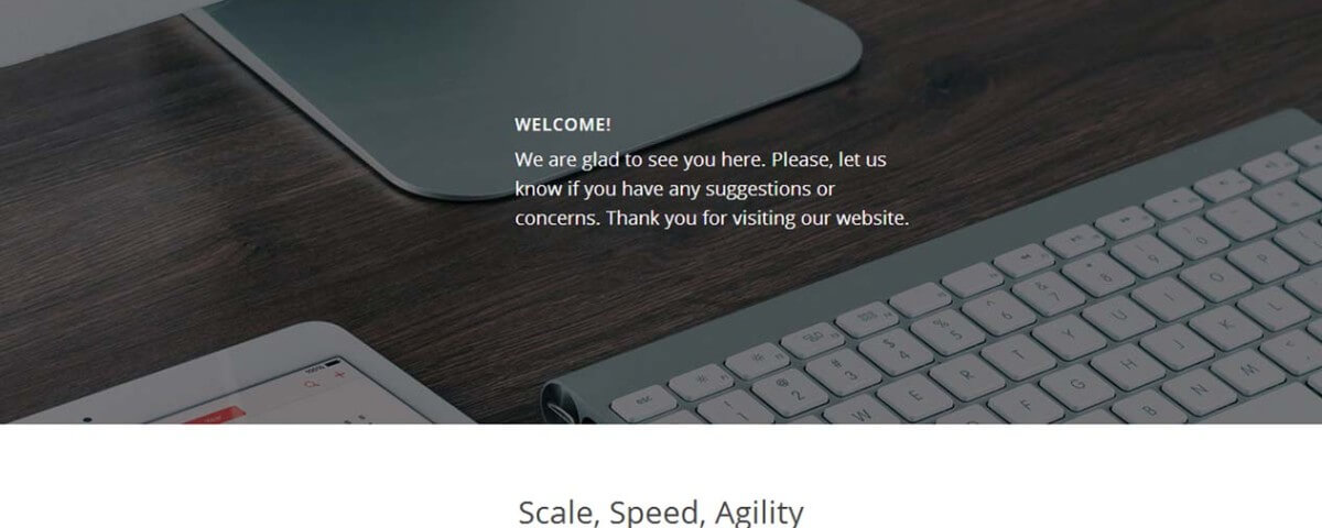 IT Consulting Company