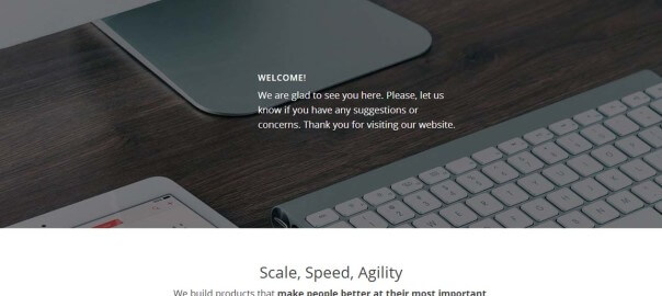 IT Consulting Company